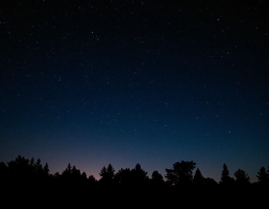 A clear night sky full of stars above a treeline